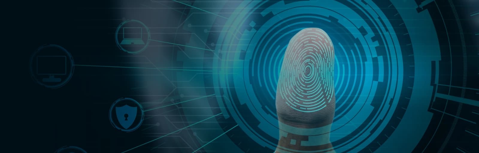 Transform ideas into digital solutions