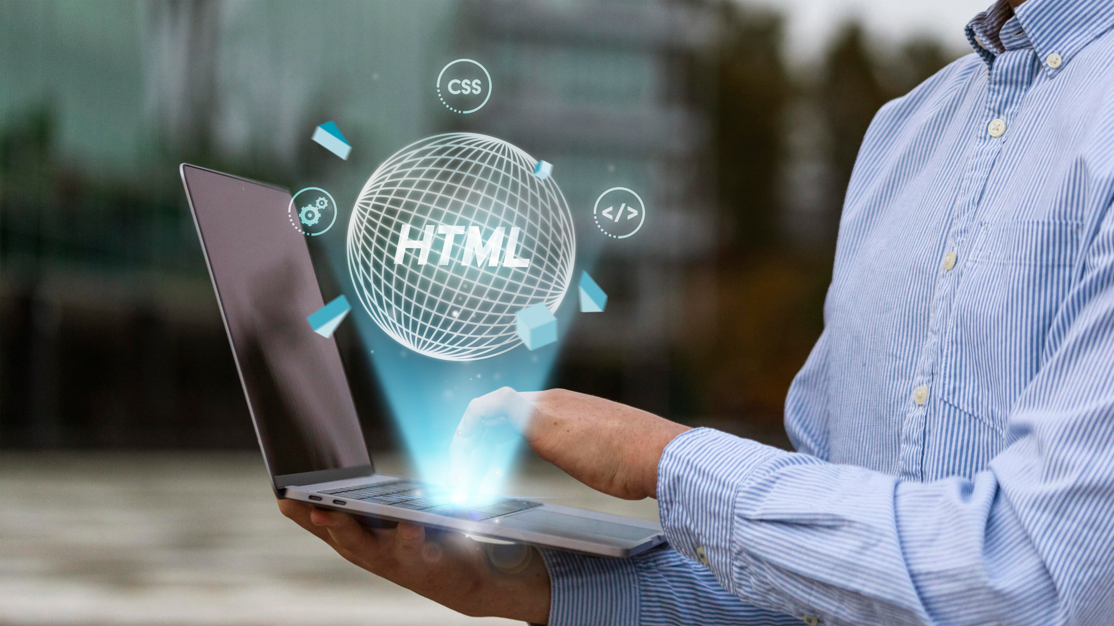 Web Design & Development Services